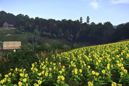 Kingdom Come Deliverance PS5 i Xbox Series X/S aktualizacja 2026
